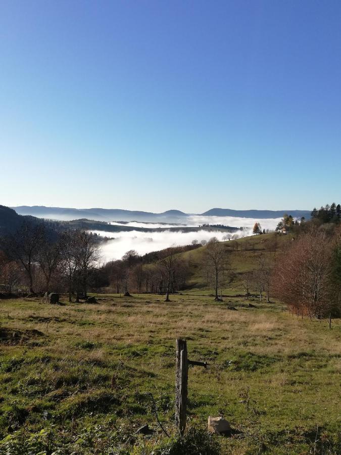 Domaine De Siane Plaine