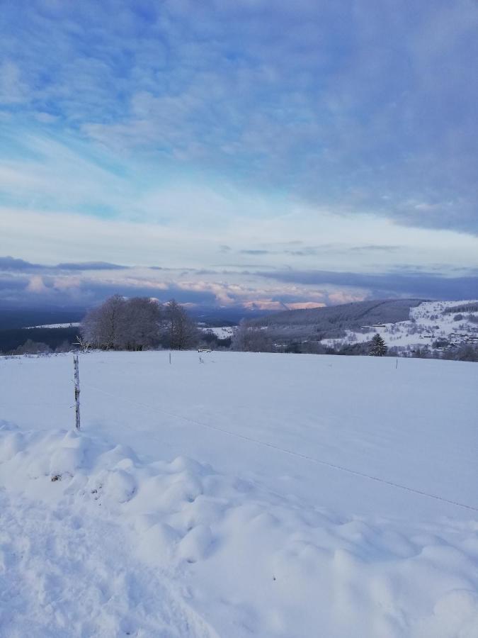 Domaine De Siane Plaine