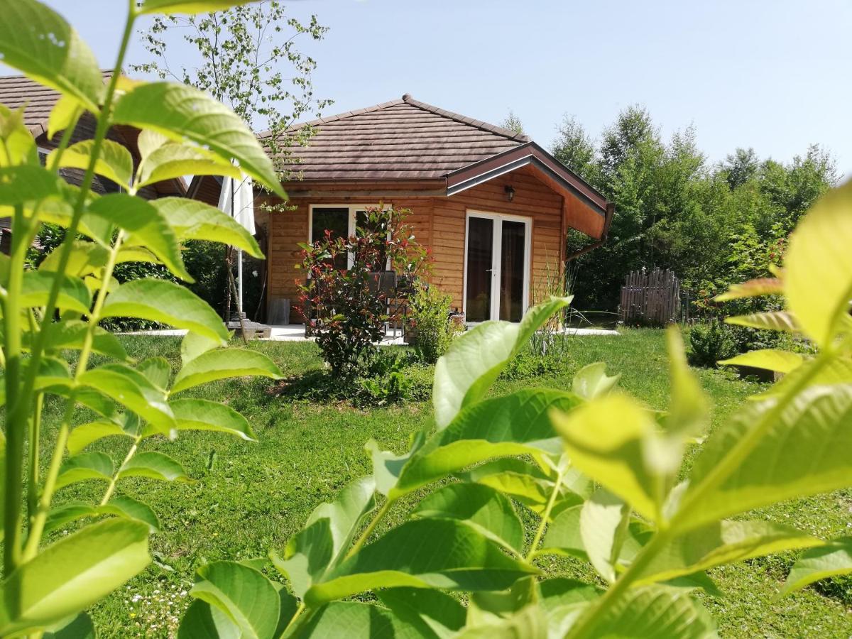 Domaine De Siane Holiday home *