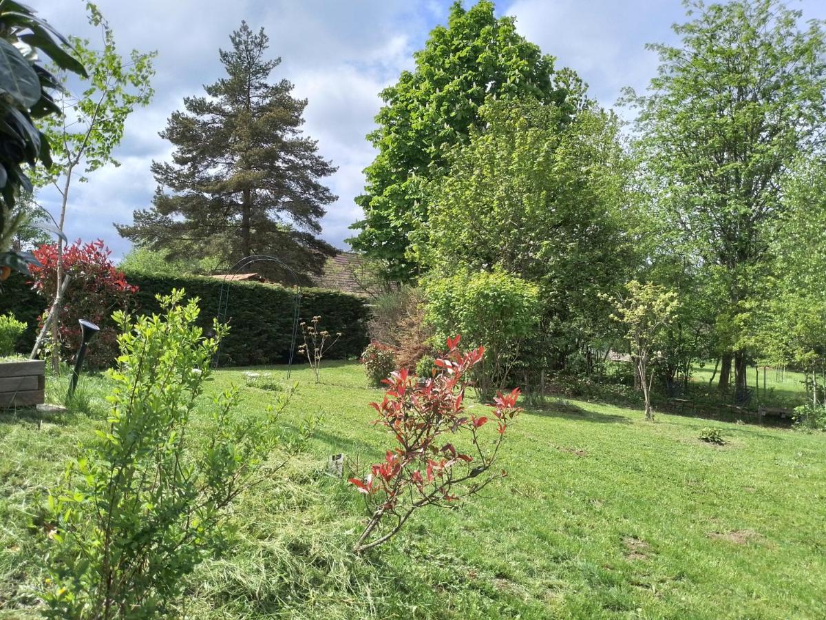 Domaine De Siane *